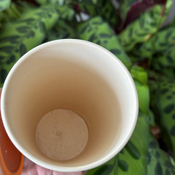 Papaya print café yo cup reusable coffee cup - Picture 5 of 5